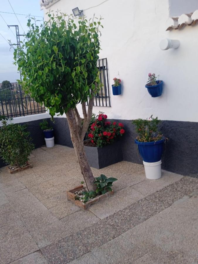 La Cueva De Guadix Villa Luaran gambar